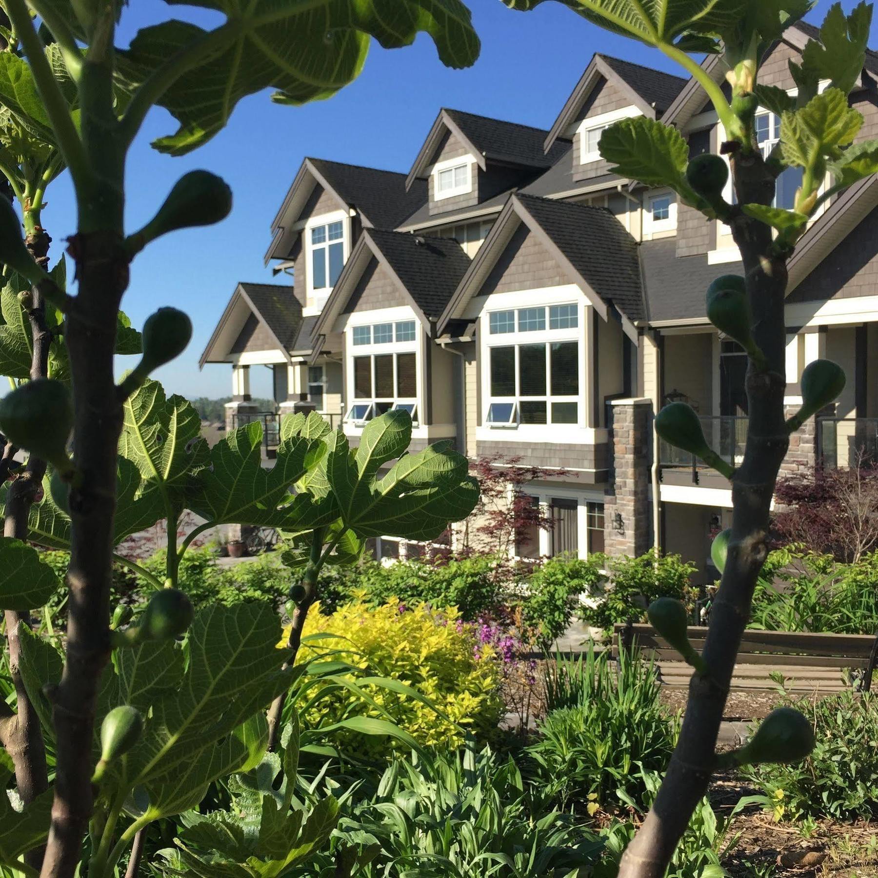 Brookside Inn Boutique Hotel Abbotsford Buitenkant foto